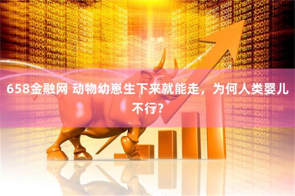 658金融网 动物幼崽生下来就能走，为何人类婴儿不行？
