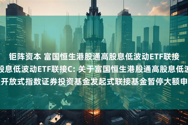 钜阵资本 富国恒生港股通高股息低波动ETF联接A,富国恒生港股通高股息低波动ETF联接C: 关于富国恒生港股通高股息低波动交易型开放式指数证券投资基金发起式联接基金暂停大额申购、转换转入及定期定额投资业务的公告