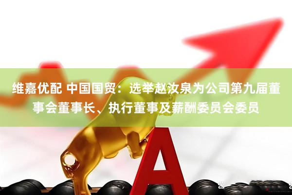 维嘉优配 中国国贸：选举赵汝泉为公司第九届董事会董事长、执行董事及薪酬委员会委员