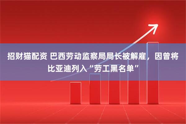 招财猫配资 巴西劳动监察局局长被解雇，因曾将比亚迪列入“劳工黑名单”
